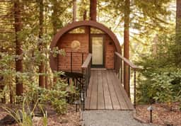 The Spectacular Spyglass Treehouse - Image 2